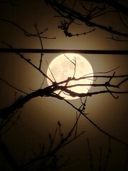 Moon In The Background 