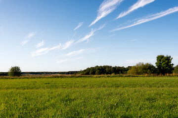 Lush green grass field with blue sky and cirrus clouds in Estonia near Narva, at the end of golden hour evening light. Harvested fields visible in distance.