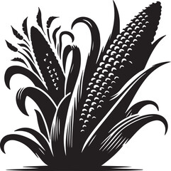 Maize high quality black and white vector