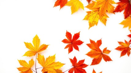 Fototapeta premium Autumnal foliage arrangement on white background showcasing vibrant red and gold leaves