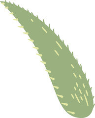 aloe vera, one leaf