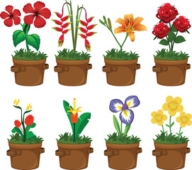 silhouette of a colorful flowers in pot