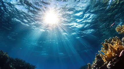 Fototapeta premium Sunlight Streaming Through Water Over Coral Reef