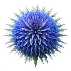 Globe Thistle Floral Line Art Photo