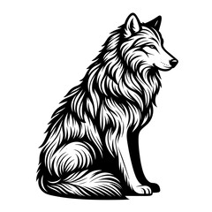 Detailed illustration of a sitting wolf with long fur in profile  