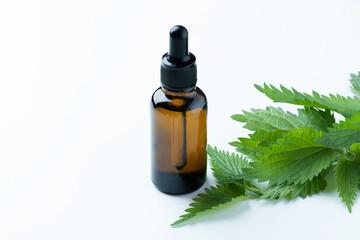 Mockup of blown glass dropper bottle with green leaves on a white background. Alternative medicine, healthy and well-being theme concept.