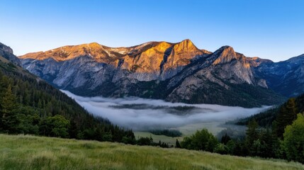 Fototapeta premium Golden sunlight illuminates the peaks of mountains in the distance while a blanket of mist settles in the valley below. Green trees frame the serene scenery in early morning light
