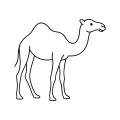 Fototapeta premium A fun cartoon vector illustration depicts a wild desert animal, the camel, in silhouette art