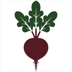 Beetroot Vector Icon