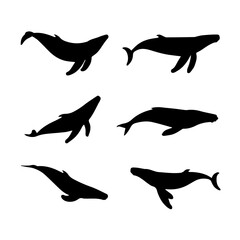 Set of six black and white vector illustrations of humpback whales in various swimming poses, shown in profile and dynamic motion, isolated on a white background.