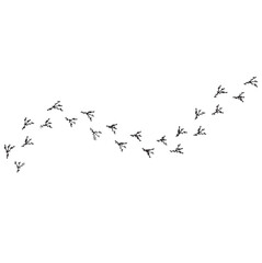 bird tracks,chicken tracks icon,vector illustration	