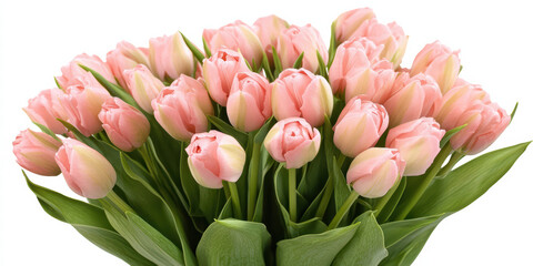 Obraz premium Pink Tulip Bouquet: A delightful bunch of pale pink tulips, showcasing their delicate petals and vibrant green stems. The soft color palette creates a serene and romantic atmosphere.