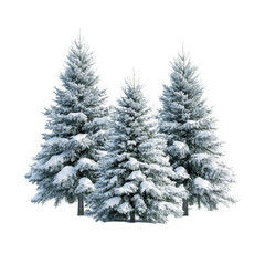 Obraz premium Snowy winter pine trees evergreen forest christmas holiday season scenery landscape isolated png image isolated on transparent background