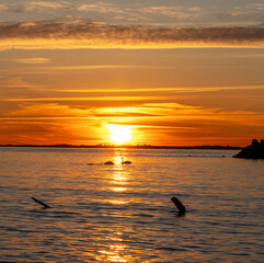 Sonnenuntergang an der Ostsee bei Lohme, Rügen, Mecklenburg-Vorpommern, Deutschland