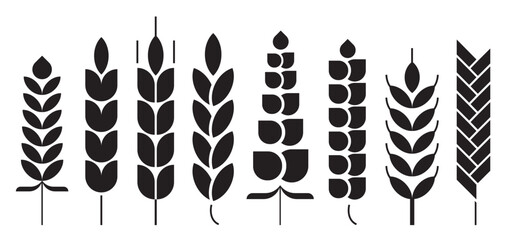 Cereal ear or spike outline icons. Wheat, rye, barley and millet vector natural grains. Yellow plant stalk for bread baking, isolated bakery, harvest and agriculture industry symbols. farm grains