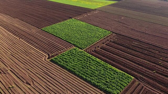 An aerial view of a patchwork of farmlands, highlighting cultivated fields with different textures and hues. The scene showcases the patterns of agriculture and land management. 