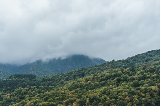 road to the mountains forest green in caucasus rainy foggy mood