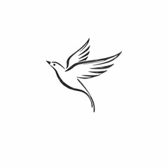Obraz premium Dove sketch drawing simple vector illustration peace freedom flying bird design art