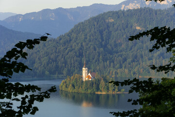 very small island on natural bled lake in summer with church in middle and beautiful green trees...