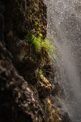 living by the waterfall