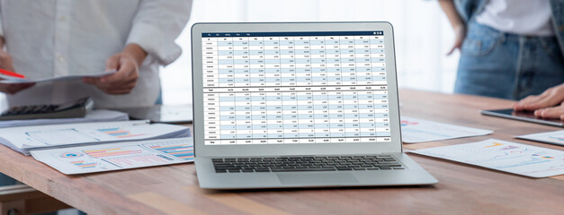 Accounting software on computer screen showing financial statement spreadsheets and account balance...