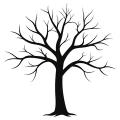 Obraz premium bare-tree-winter-silhouette-on-white-background-- (7).eps