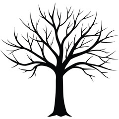 bare-tree-winter-silhouette-on-white-background--.eps