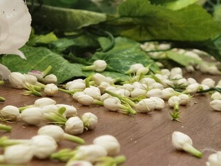 green beans on a wooden background