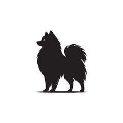 Fototapeta premium Elegant Finnish Spitz Dog Silhouette Vector Design Featuring the Distinct Foxlike Appearance, Pointed Ears, Curled Tail, and Proud Stance – Ideal for Prints, Logos, Stickers, and Pet Art. 