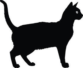 A simple black silhouette of a cat, standing on its hind legs, facing to the right, with its tail up. The cat has a triangular head with pointed ears, and its body is slender and elongated. The backgr