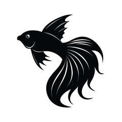 Betta Fish Silhouette.
