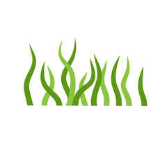 Aquatic marine algae plant vector Illustration