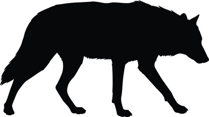 A silhouetted image of a wolf, a wild canine predator, stalking through a dark, shadowy environment, with a strong, imposing presence.
