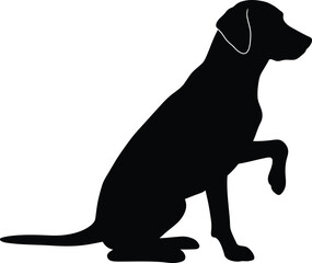 Dog Silhouette High Contrast Black And White Realistic

