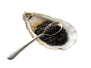 A closeup of glistening black caviar on a white spoon, a gourmet seafood appetizer, is isolated on a transparent background