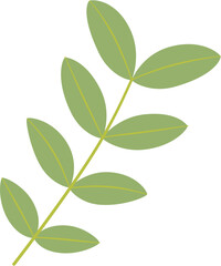 stylized Senna, food and beverage, herbal medicine