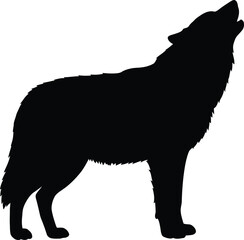 Howling Wolf Silhouette Isolated on White Background

