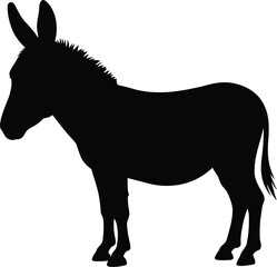 Donkey Silhouette Isolated on White Background

