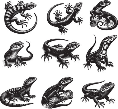 Printable vector illustration of sanda lizards