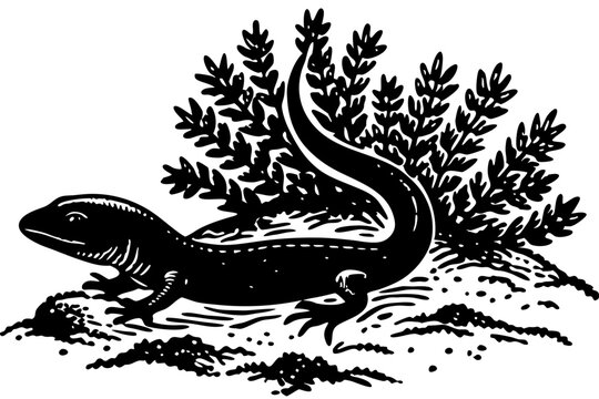 Sandfish skink silhouette with body sligh transparency for creative designs, sandfish skink, skink, lizard, reptile, silhouette, vector, animal, wildlife, desert, creature, pet, design, icon, illustra