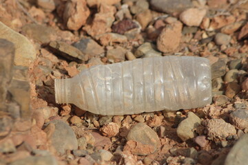 A plastic bottle lying on the ground, Plastic pollution, Plastic environmental impact