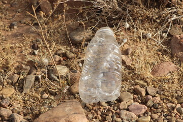 A plastic bottle lying on the ground, Plastic pollution, Plastic environmental impact