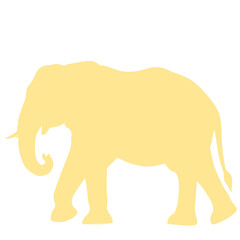 Elephant Silhouette Illustration 