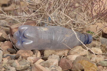 A plastic bottle lying on the ground, Plastic pollution, Plastic environmental impact