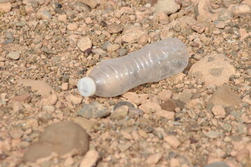 A plastic bottle lying on the ground, Plastic pollution, Plastic environmental impact