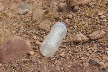 A plastic bottle lying on the ground, Plastic pollution, Plastic environmental impact