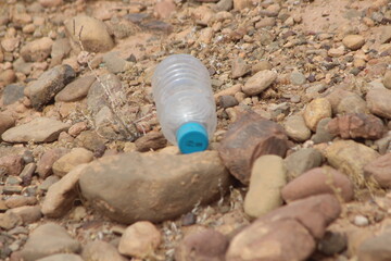 A plastic bottle lying on the ground, Plastic pollution, Plastic environmental impact