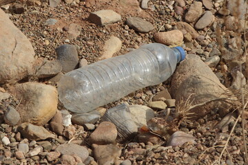 A plastic bottle lying on the ground, Plastic pollution, Plastic environmental impact