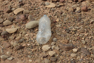 A plastic bottle lying on the ground, Plastic pollution, Plastic environmental impact
