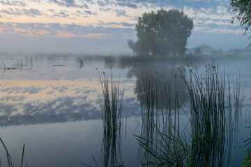 summer sunrise on the river with reflections in the water
